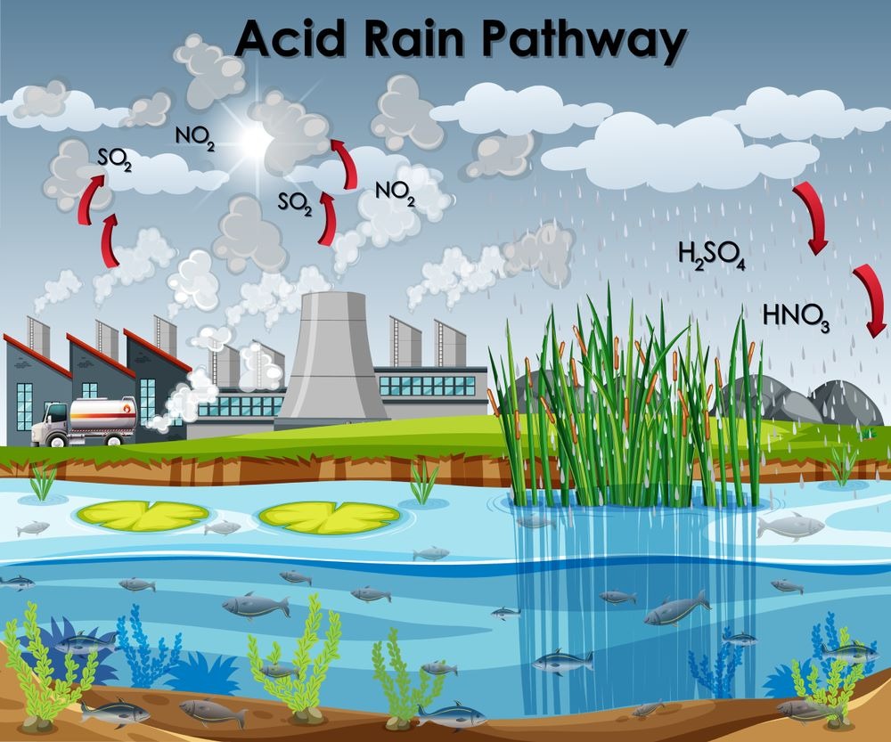 Nguyên nhân dẫn đến hiện tượng mưa axit là gì?